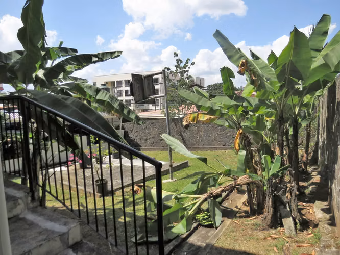 Venta de Casa Espaciosa con 404 m2 de Terreno en Betania 26-882GG - Imagen 20