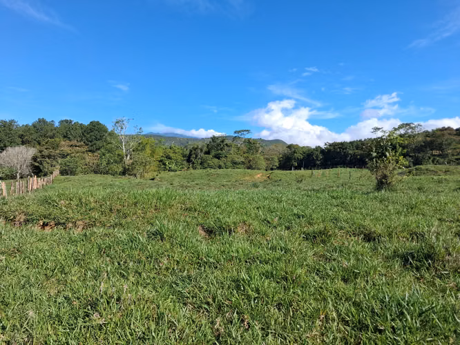 Se vende lote en La Estrella, Jaramillo, Boquete - Imagen 3