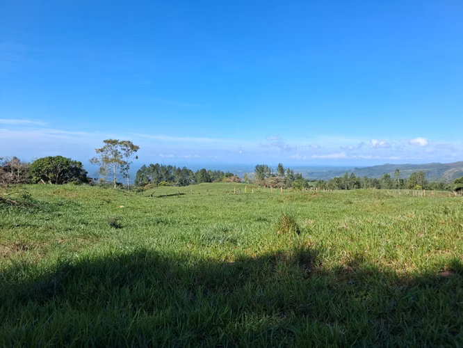 Se vende lote en La Estrella, Jaramillo, Boquete - Imagen 4