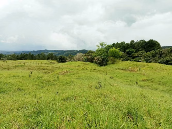 Se vende lote en La Estrella, Jaramillo, Boquete