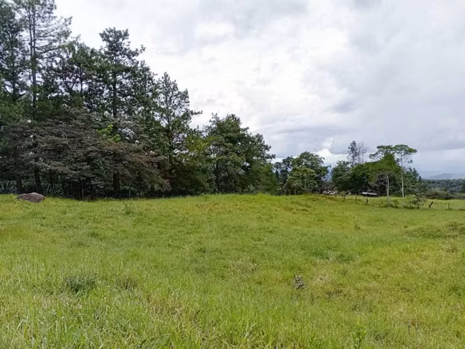 Se vende lote en La Estrella, Jaramillo, Boquete