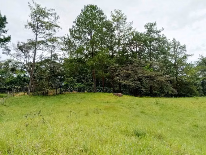 Se vende lote en La Estrella, Jaramillo, Boquete