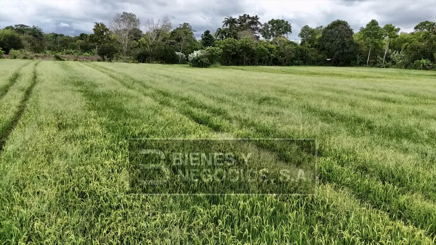 Terreno en Chiriqui, La Estrella, 1.5 hectáreas en Siogui - Imagen 2