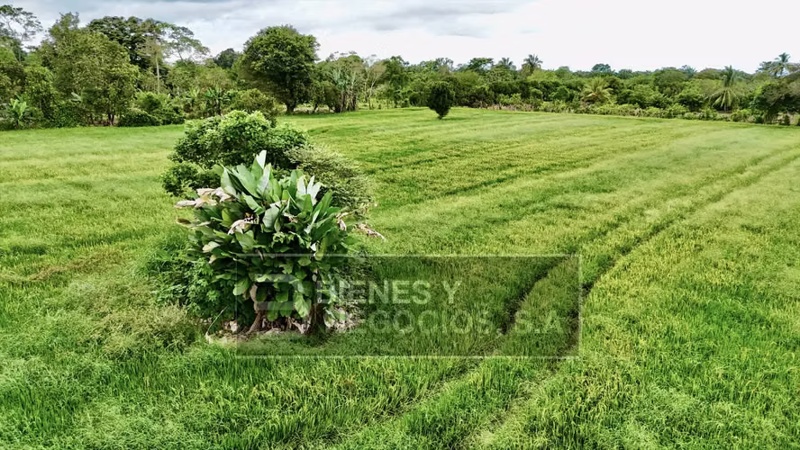 Terreno en Chiriqui, La Estrella, 1.5 hectáreas en Siogui - Imagen 4