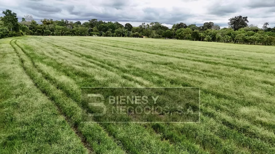 Terreno en Chiriqui, La Estrella, 3.7 hectáreas en Siogui