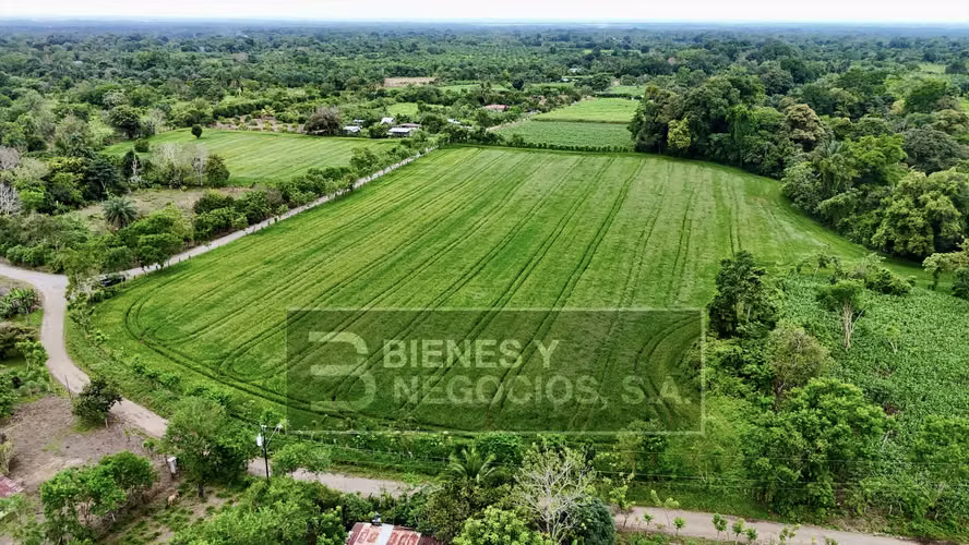 Terreno en Chiriqui, La Estrella, 3.7 hectáreas en Siogui