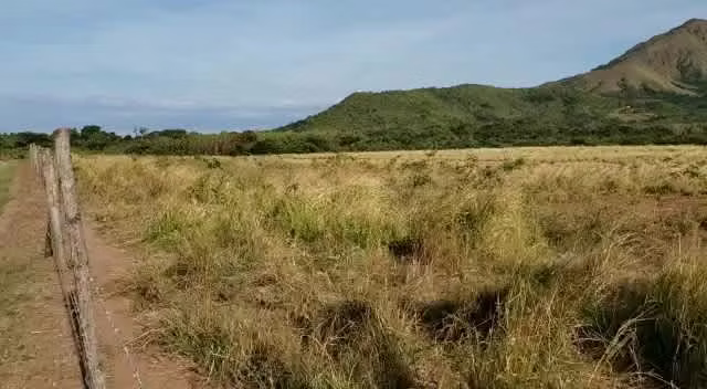 Venta de Finca en Chame, 26 hectáreas