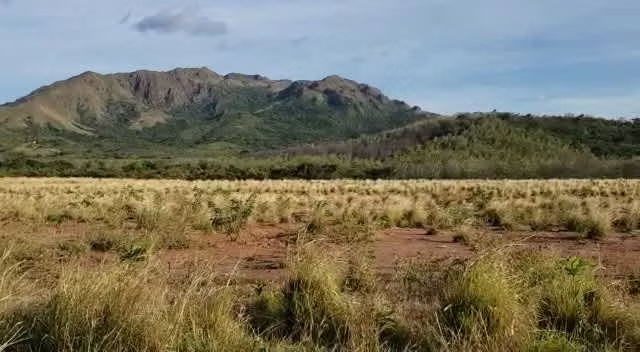 Venta de Finca en Chame, 26 hectáreas