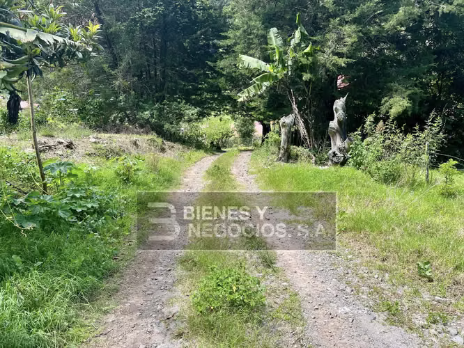 Terreno en Chiriqui, Tierras Altas, 4,398,91 mts2, en Bambito. - Imagen 4