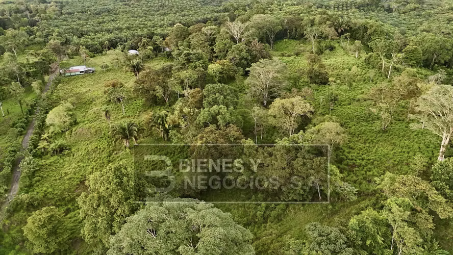 Finca en Chiriqui, Baru, 57.9 Hectáreas, La Victoria - Imagen 11