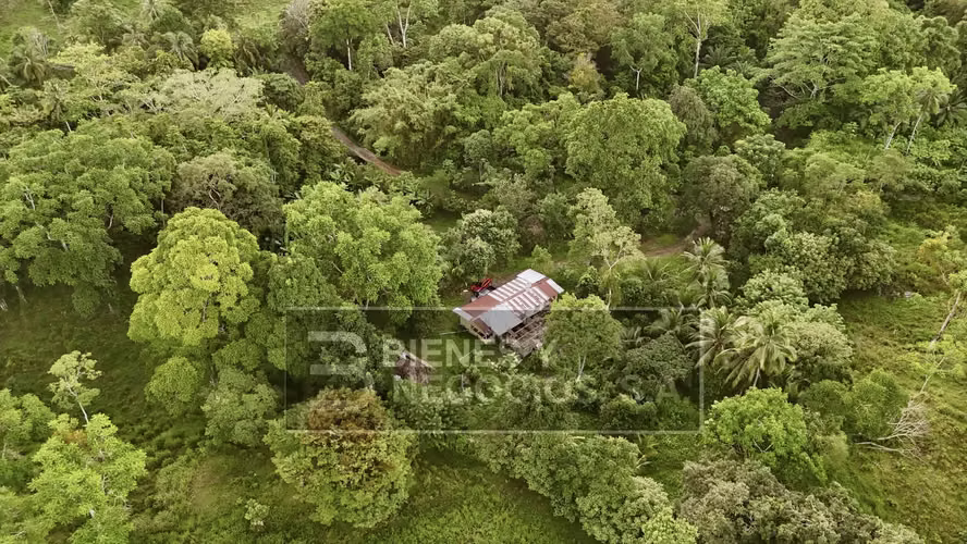 Finca en Chiriqui, Baru, 57.9 Hectáreas, La Victoria - Imagen 9