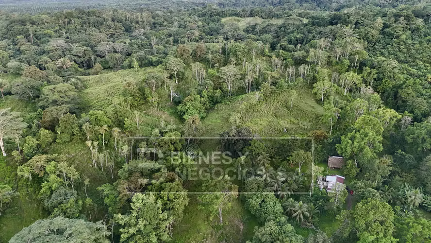 Finca en Chiriqui, Baru, 57.9 Hectáreas, La Victoria - Imagen 6
