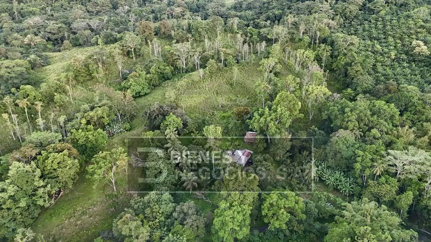 Finca en Chiriqui, Baru, 57.9 Hectáreas, La Victoria - Imagen 8