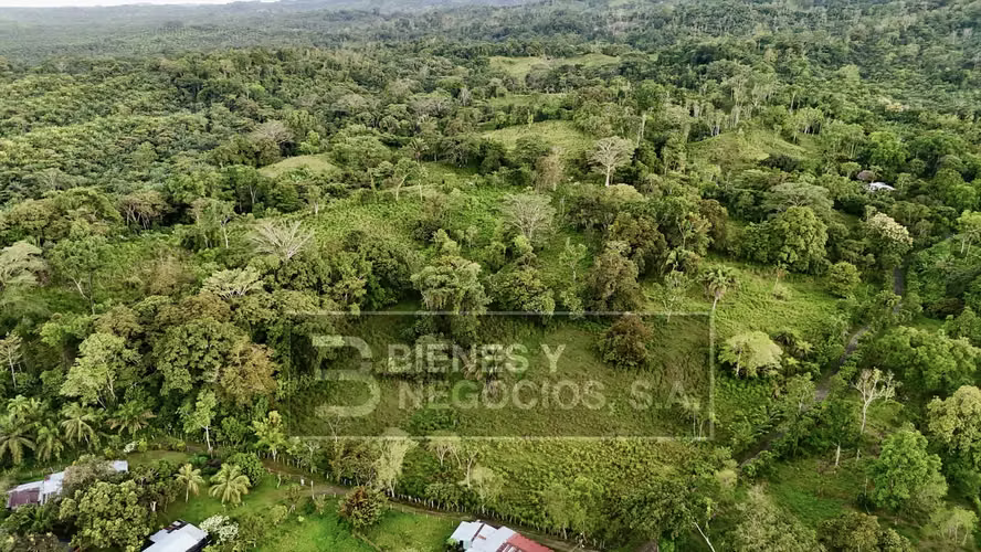 Finca en Chiriqui, Baru, 57.9 Hectáreas, La Victoria - Imagen 12