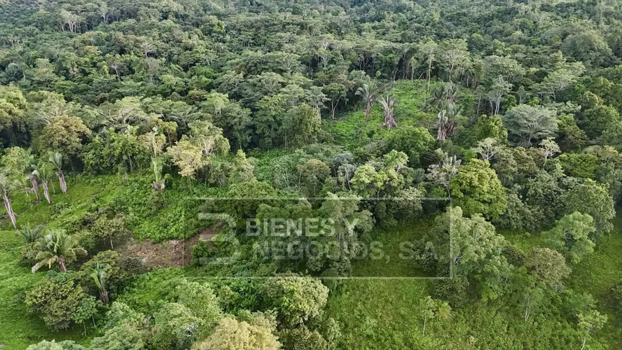 Finca en Chiriqui, Baru, 57.9 Hectáreas, La Victoria - Imagen 17