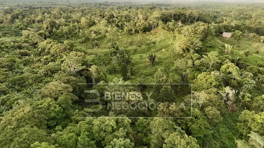 Finca en Chiriqui, Baru, 57.9 Hectáreas, La Victoria - Imagen 20