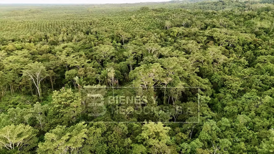 Finca en Chiriqui, Baru, 57.9 Hectáreas, La Victoria - Imagen 18