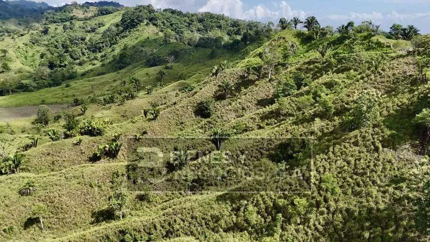 Finca en Chiriqui, Baru, 387 hectáreas en Blanco Arriba - Imagen 20