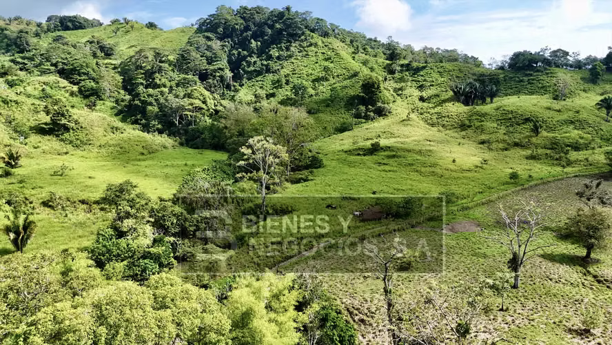 Finca en Chiriqui, Baru, 387 hectáreas en Blanco Arriba - Imagen 17