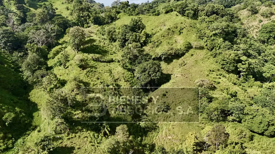 Finca en Chiriqui, Baru, 387 hectáreas en Blanco Arriba - Imagen 6
