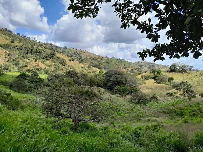 SE VENDE FINCA AGROPECUARIA EN JOAQUIN TONOSÍ.
