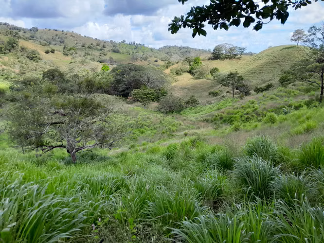 SE VENDE FINCA AGROPECUARIA EN JOAQUIN TONOSÍ.