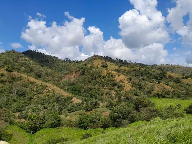 SE VENDE FINCA AGROPECUARIA EN JOAQUIN TONOSÍ.