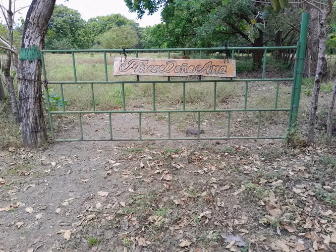 SE VENDE FINCA GANADERA EN LA BARRA (MARIATO).