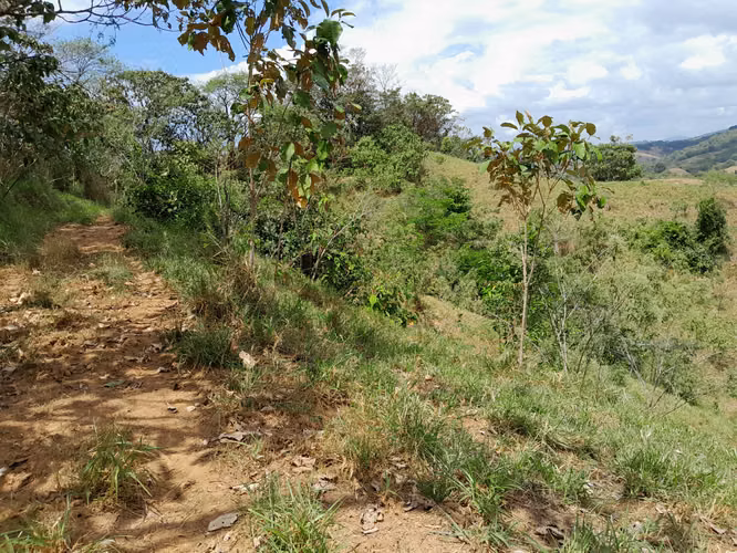 SE VENDE FINCA GANADERA EN LA BARRA (MARIATO).