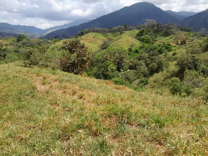 SE VENDE FINCA GANADERA EN LA BARRA (MARIATO).