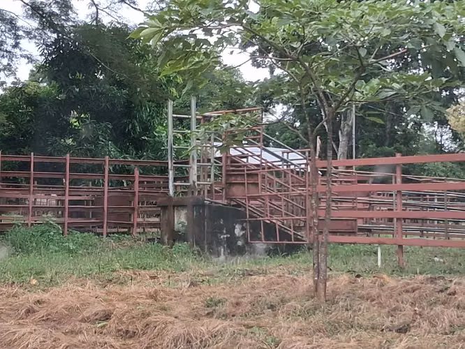 SE VENDE FINCA AGROPECUARIA OJO DE AGUA, TONOSÍ (LOS SANTOS).
