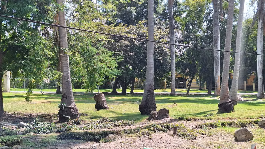 VENDO TERRENO EN SANTA CLARA PROVINCIA DE COCLÉ PLAYAS