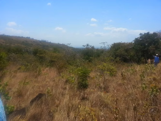 VENTA DE 2 HECTAREAS  EN LA LAGUNA DE SAN CARLOS B/. 8.00 mt2
