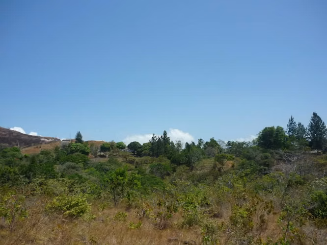 VENTA DE 2 HECTAREAS  EN LA LAGUNA DE SAN CARLOS B/. 8.00 mt2