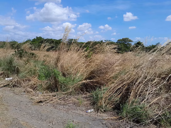 SE VENDE TERRENO A ORILLAS DE LA  CARRETERA INTERAMERICANA