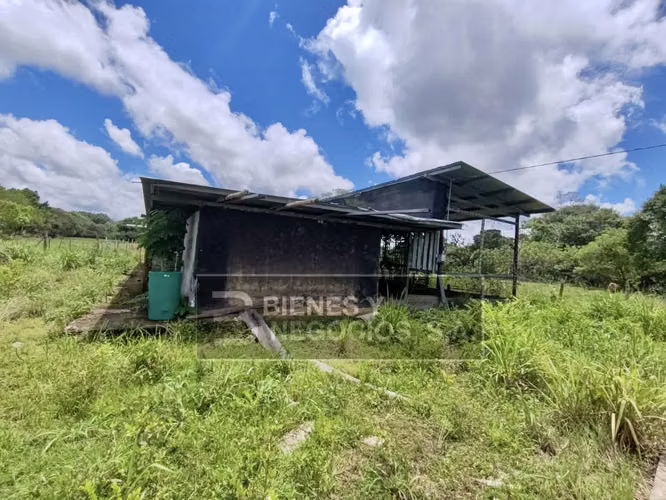 Finca en Chiriqui, Bugaba, 259 hectáreas en Santo Domingo