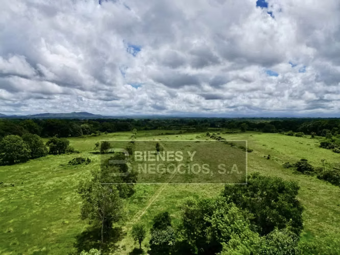 Finca en Chiriqui, Bugaba, 259 hectáreas en Santo Domingo