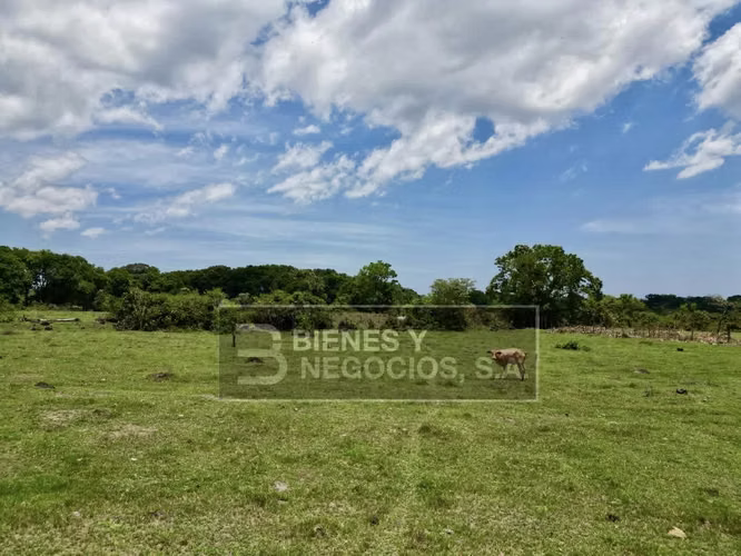 Finca en Chiriqui, Bugaba, 259 hectáreas en Santo Domingo