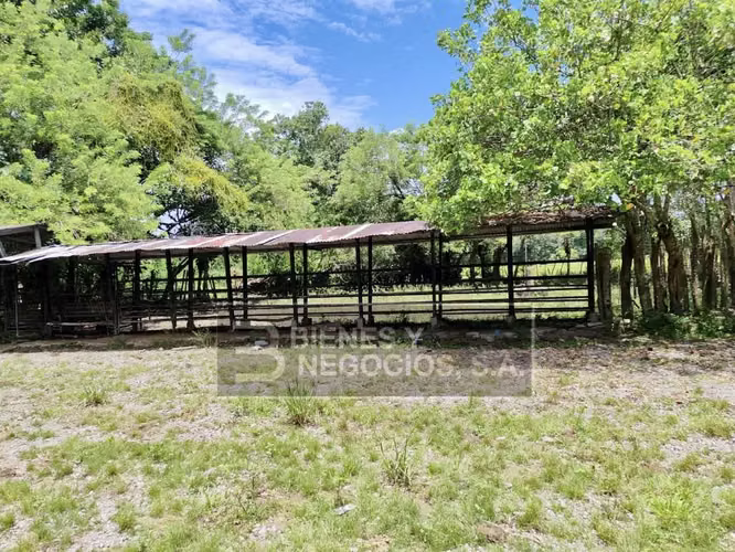 Finca en Chiriqui, Bugaba, 259 hectáreas en Santo Domingo