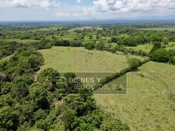 Finca en Chiriqui, Bugaba, 259 hectáreas en Santo Domingo