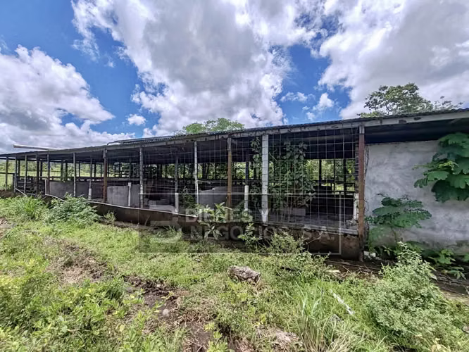 Finca en Chiriqui, Bugaba, 259 hectáreas en Santo Domingo