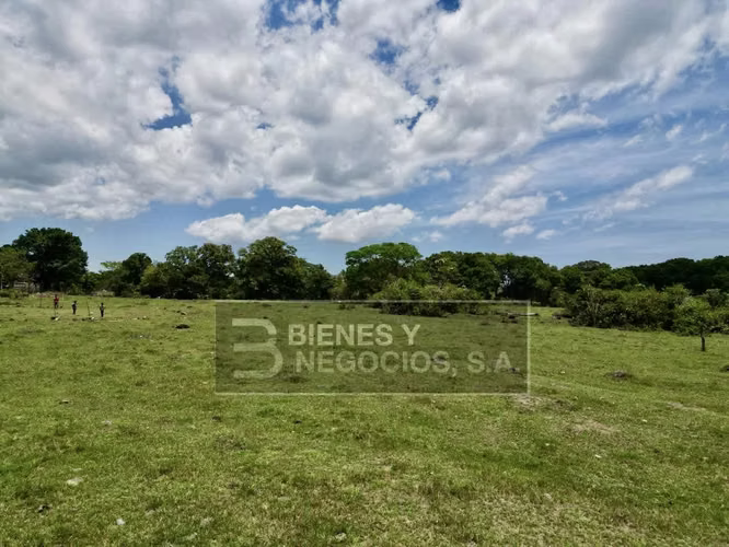 Finca en Chiriqui, Bugaba, 259 hectáreas en Santo Domingo