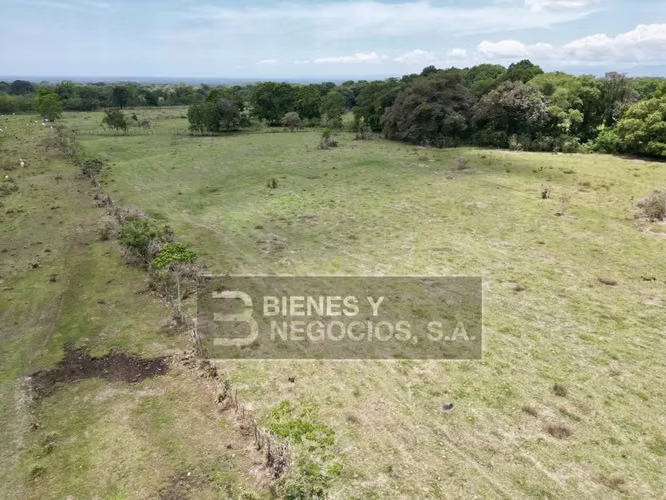 Finca en Chiriqui, Bugaba, 259 hectáreas en Santo Domingo