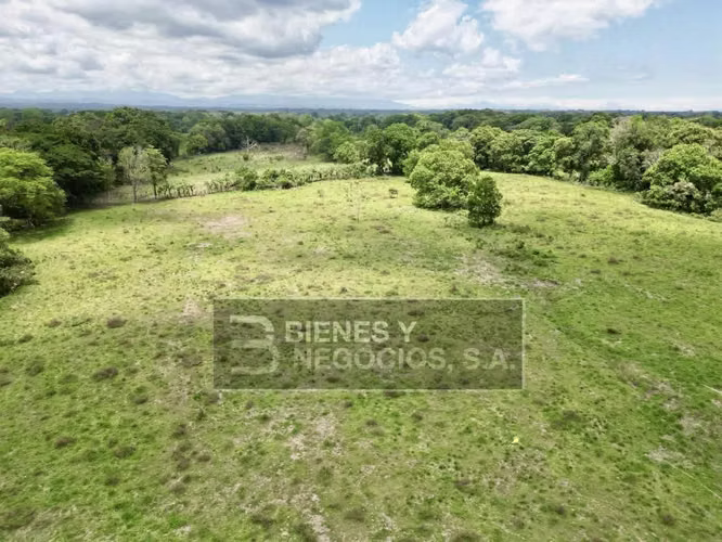Finca en Chiriqui, Bugaba, 259 hectáreas en Santo Domingo