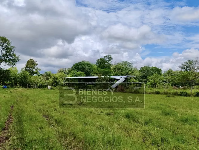 Finca en Chiriqui, Bugaba, 259 hectáreas en Santo Domingo