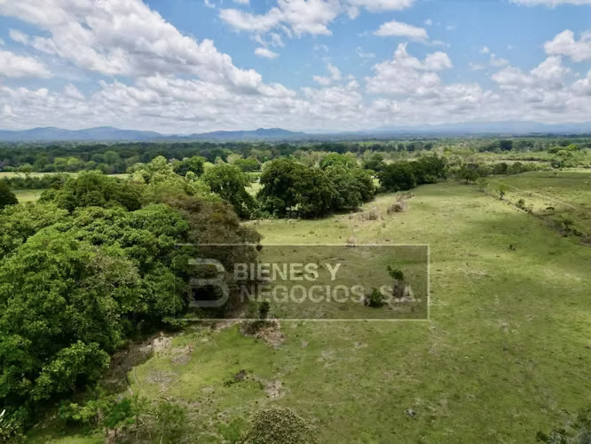 Finca en Chiriqui, Bugaba, 259 hectáreas en Santo Domingo