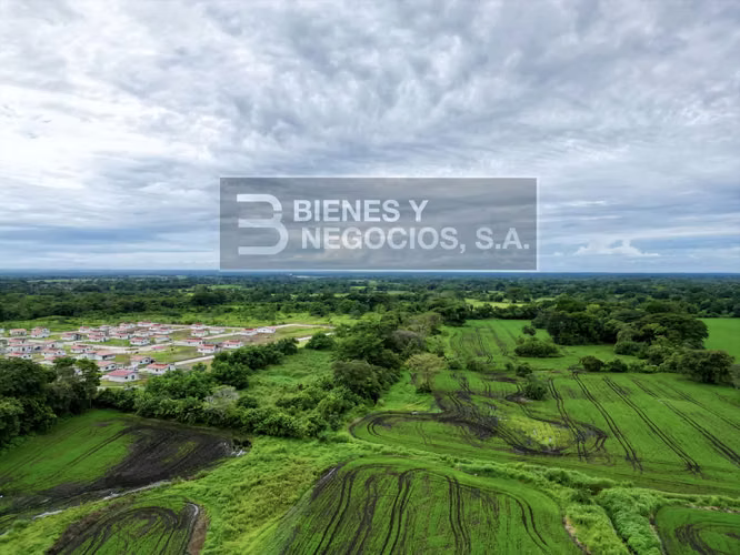 Terreno en Chiriqui, Boquerón, 12 hectáreas frente a la Panamericana - Imagen 3