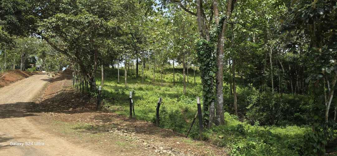 Finca Titulada 2,501m2 a $18mil. Financiada a 18 meses.