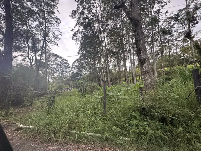 SE VENDE LOTE TITULADO CERCA DEL PUEBLO DE VOLCÁN