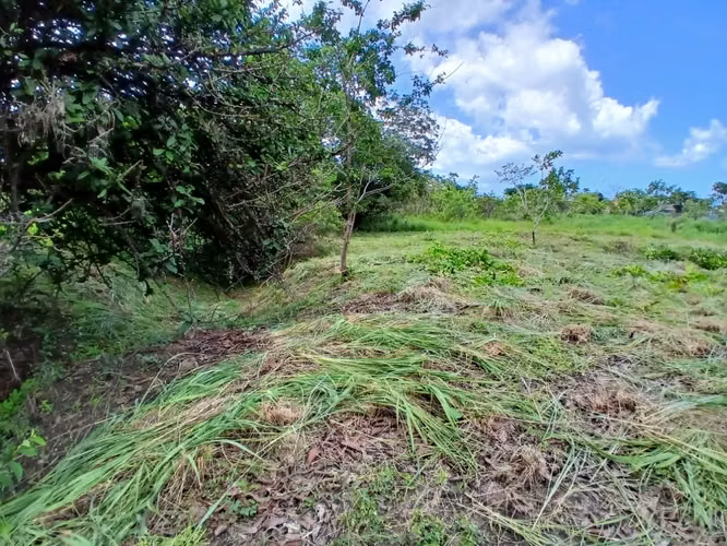 Terreno comercial en renta en la entrada de Punta Barco Viejo, Panama